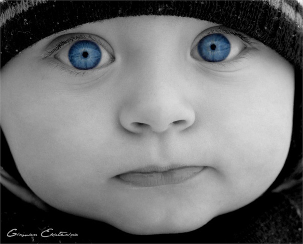 Мальчик заглядывает в окно. Серьезный мальчик. Дети мальчик и девочка. Дети во дворе. Суетливый с моргающими глазенками мальчишка любивший.