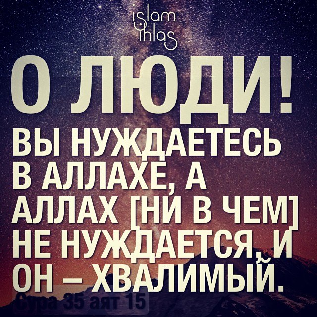 шпротам картинка аллах тебя накажет никак могли