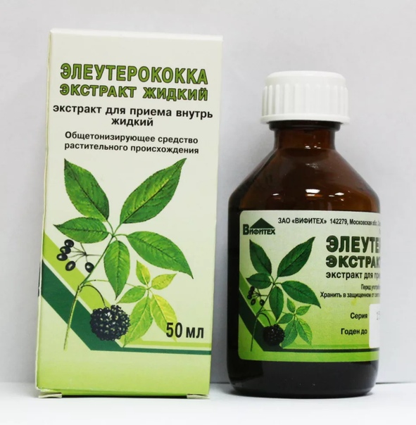 О ПОЛЬЗЕ ЭЛЕУТЕРОКОККА Элеутерококк богат витамином С и витаминами группы В, а также множеством микроэлементов. Целебные свойства растения определяются особой группой веществ, называемых