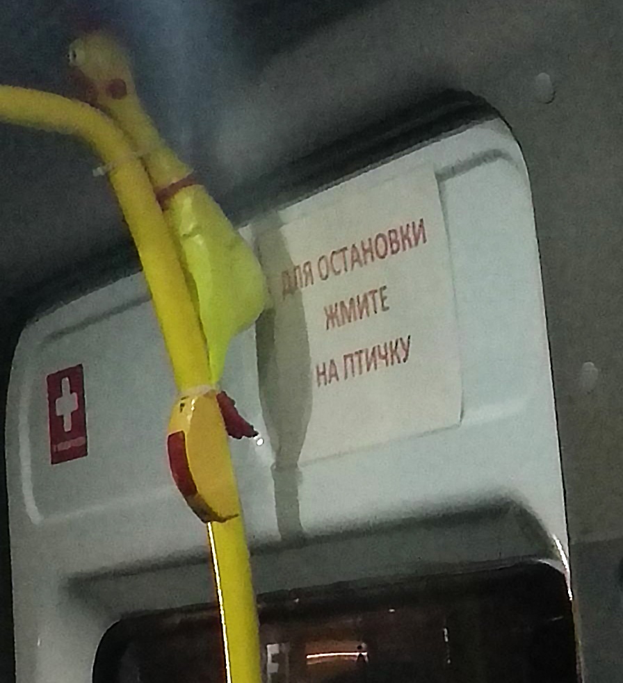 https://sun1-85.userapi.com/c855236/v855236596/1768f2/KrrduhpHrJc.jpg