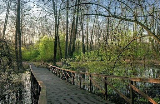 Заповедник ул мира 47 фото Заповедник ул мира 47 фото